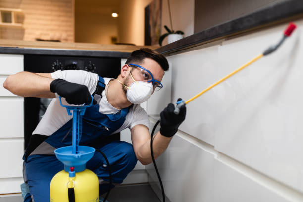 Best Rat Extermination Near Me  in Isanti, MN