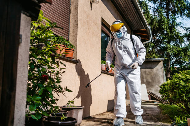 Trusted Isanti, MN Pest Control Experts