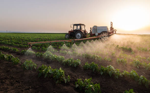 Best Pest Removal Services  in Isanti, MN