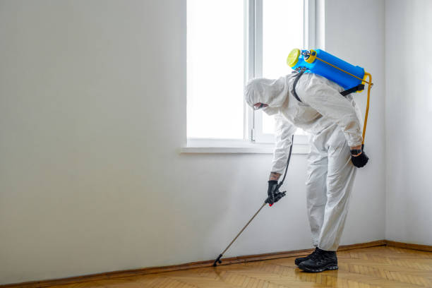 Best Flea Control Services  in Isanti, MN
