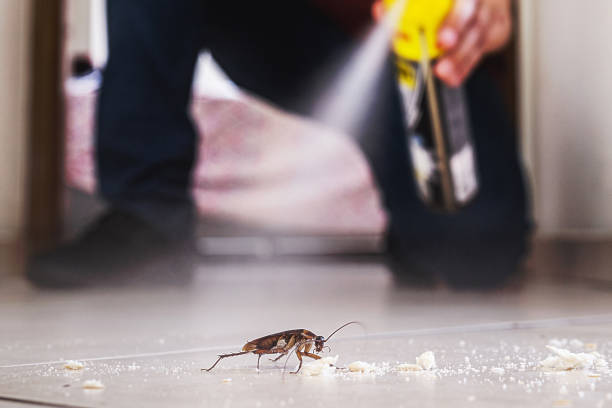 Best Exterminator Services  in Isanti, MN