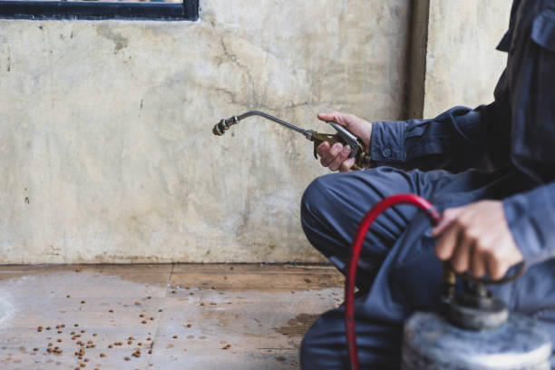 Best Pest Control Near Me  in Isanti, MN